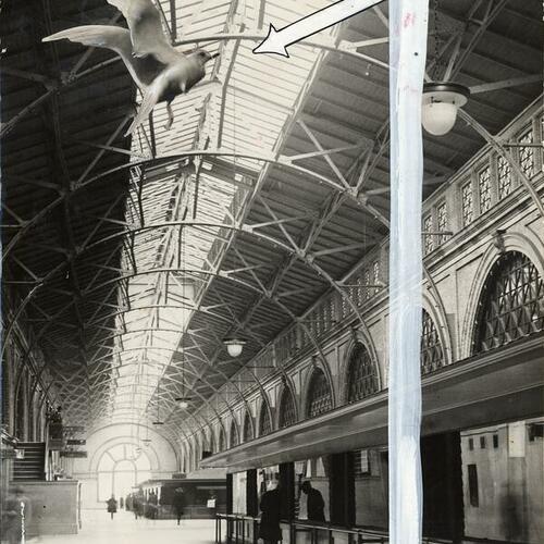 [View of inside of Ferry Building with image of bird superimposed on it]