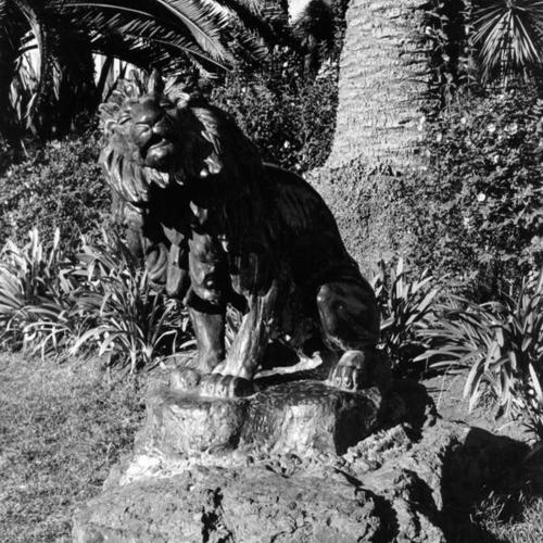 [Lion statue in Golden Gate Park]