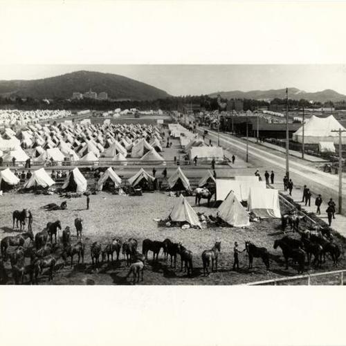 [Camp Merritt 1898, between 1st and 6th avenue near Golden Gate Park looking south]