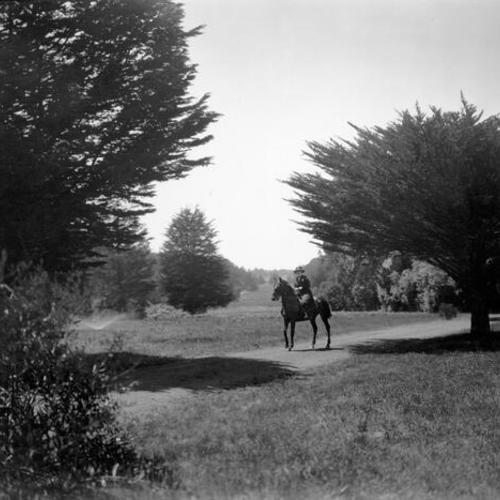 [Unidentified woman horseback riding on the bridle path in Golden Gate Park]