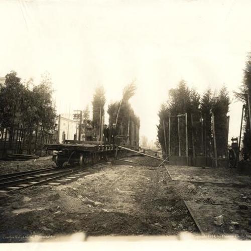[Transporting trees, Panama-Pacific International Exposition]
