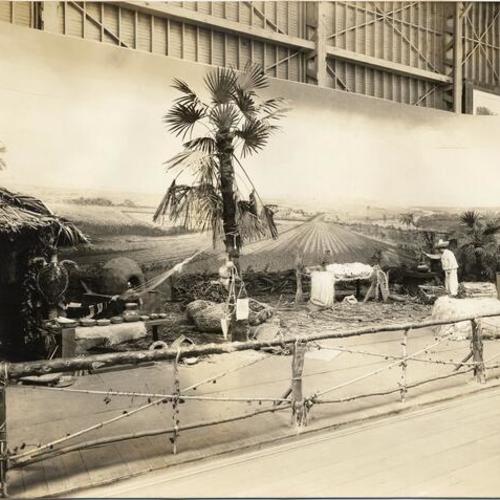 [Mexican Agricultural Prospects exhibit at the Panama-Pacific International Exposition]
