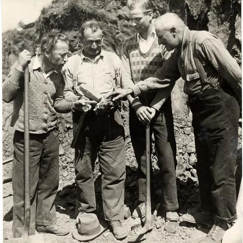 [Edward Supernaugh, left, Ed Soluago, Carl Summers, and Foreman Theodore Ernst, inspecting "gold samples" found at McLaren Park]