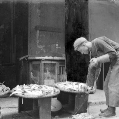 [Fish market; one man with scale]