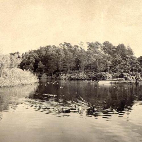 [Stow Lake in Golden Gate Park]