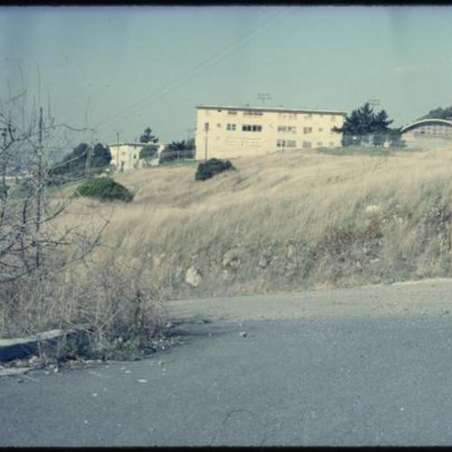 Street in front of hillside with overgrown vegetation and buildings