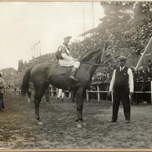 [Entrant in horse race at the Panama-Pacific International Exposition]