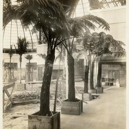 [Trees at Palace of Horticulture]