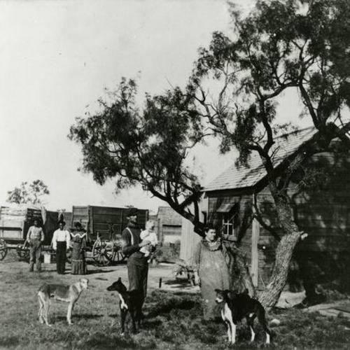 [Family and sharecroppers next to a building, wagons, three dogs in Mountain Park, Oklahoma]