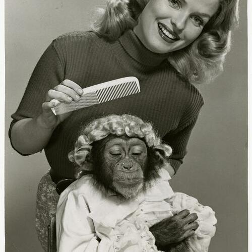 Patricia Sheenan combing chimp's hair