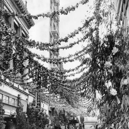 [Maiden Lane decorated for annual Floral Fiesta]