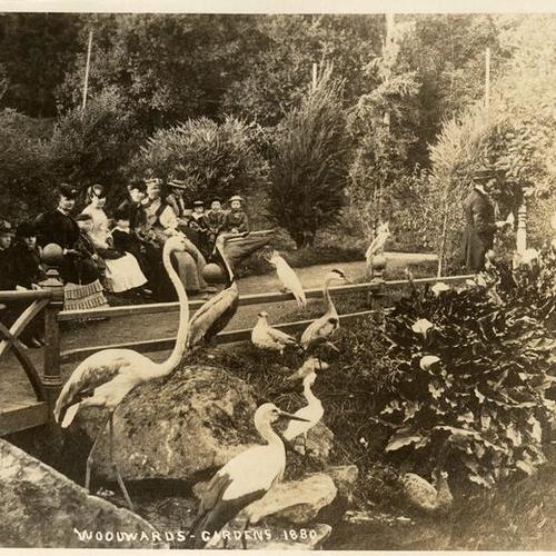 [Visitors sit and admire the exotic birds in Woodward's Gardens, 1880]