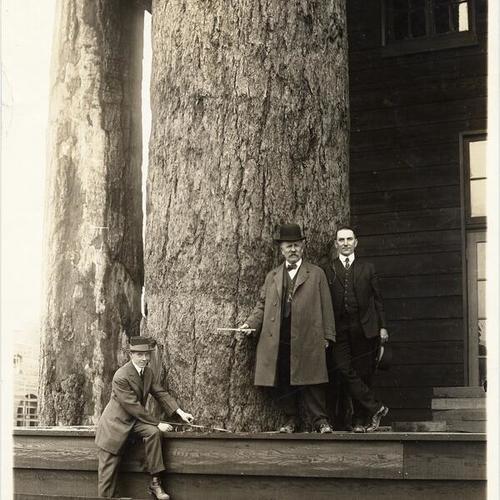 [Three men measuring the circumference of the largest log used in the Oregon State Building at the Panama-Pacific International Exposition]