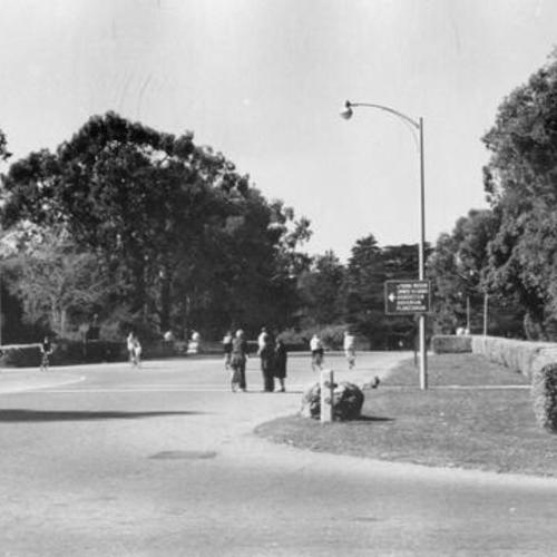 [Bicyclists on JFK Drive in Golden Gate Park]