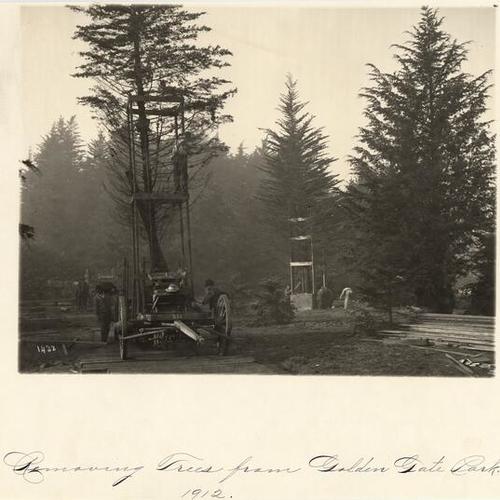 Removing trees from Golden Gate, 1912