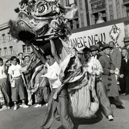 [Dragon writhing through a crowd on Chinese New Years]