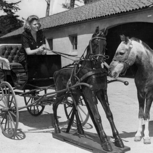 [Mike, the pony, watches as Betty Eriksen takes a ride on synthetic "Black Beauty"]