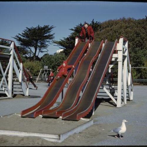 Children going down slides at playground