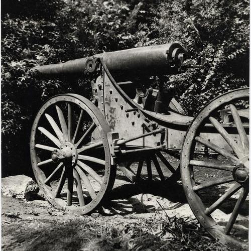 [Cannon in Golden Gate Park]
