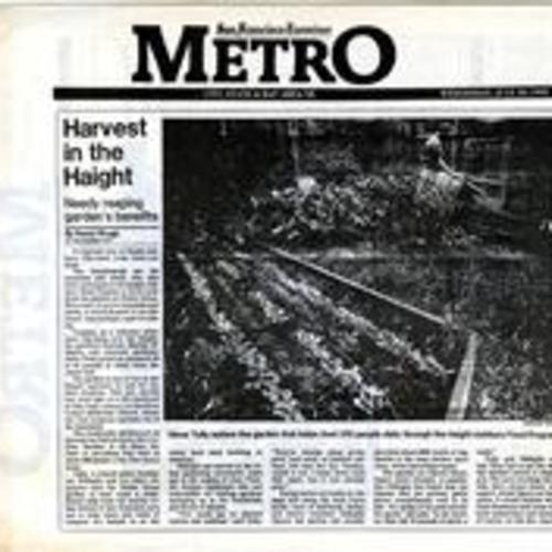 Harvest in the Haight, San Francisco Examiner, July 20 1988
