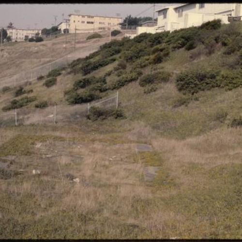 Hillside with overgrown vegetation in front of withered buildings