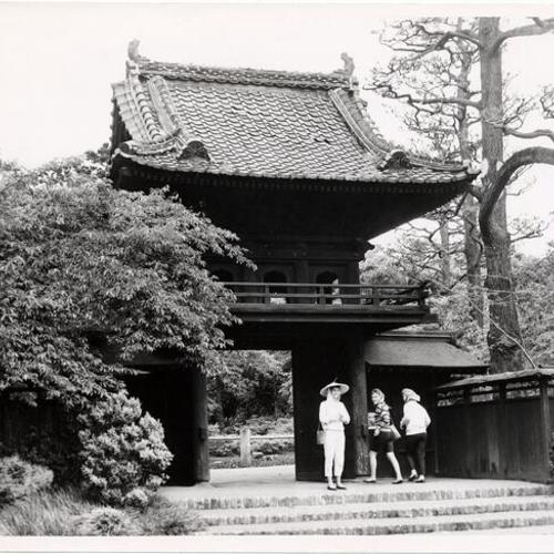 [Japanese Tea Garden]