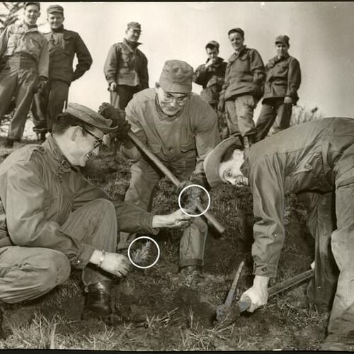 [Soldiers planting trees at the Presidio of San Francisco]