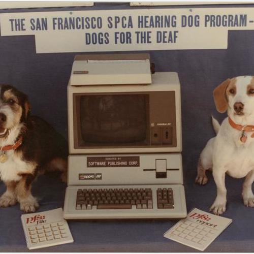 San Francisco SPCA Hearing Dog Program advertisement