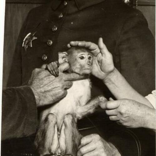 [Officer J. J. McGraw holding a monkey]