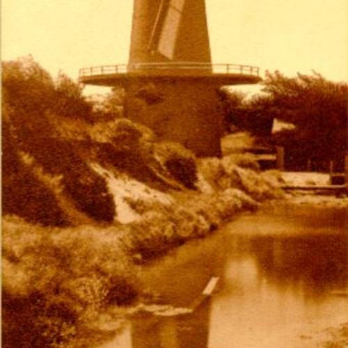 [Dutch Windmill, Golden Gate Park]
