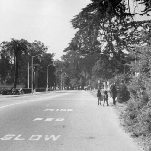 [Bicyclists and pedestrians on street in front of the De Young Museum in Drive in Golden Gate Park]