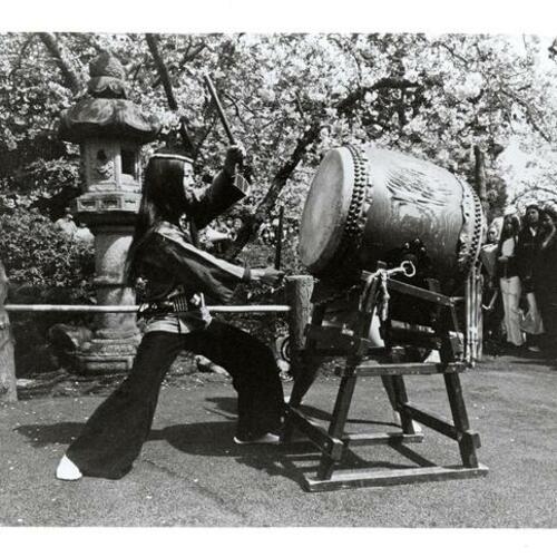 [Taiko drummer plays in the Japanese Tea Garden at Golden Gate Park for the Cherry Blossom Festival]