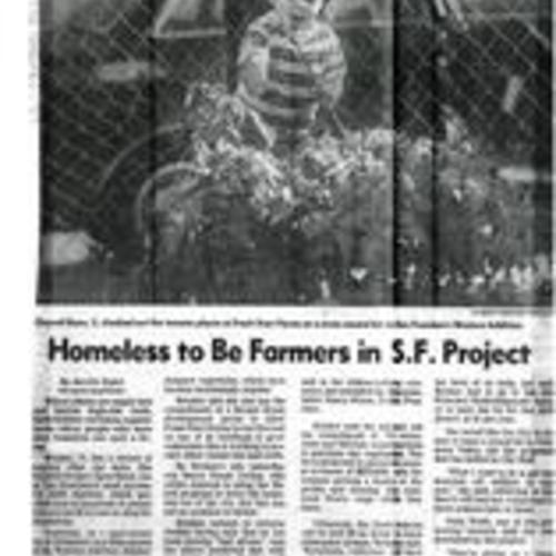 Homeless to Be Farmers in S.F. Project