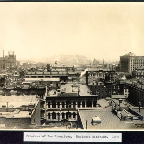 Panorama of San Francisco. Business district. 1901