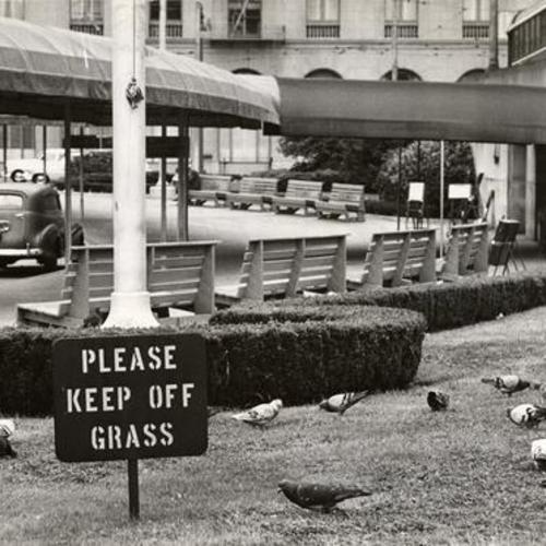 [Pigeons on grass in front of Bay Bridge terminal at First and Mission streets]