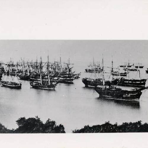[Abandoned ships in San Francisco Harbor]