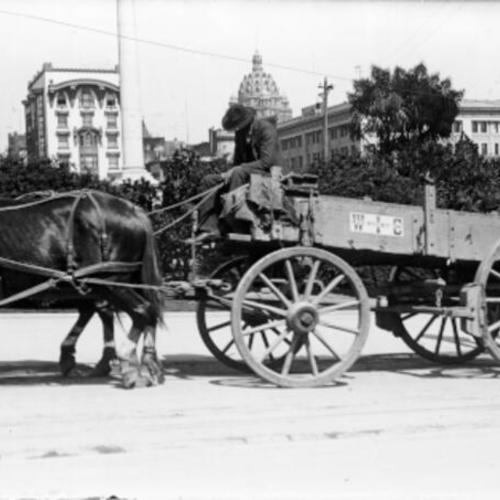 [Driver with horse and carriage at Union Square]