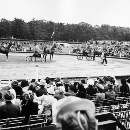 [Horse and buggies in polo field at Golden Gate Park]