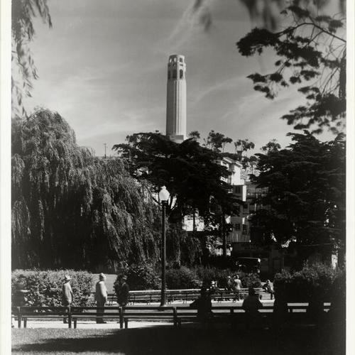 [View of Coit Tower on Telegraph Hill from Washington Square Park]