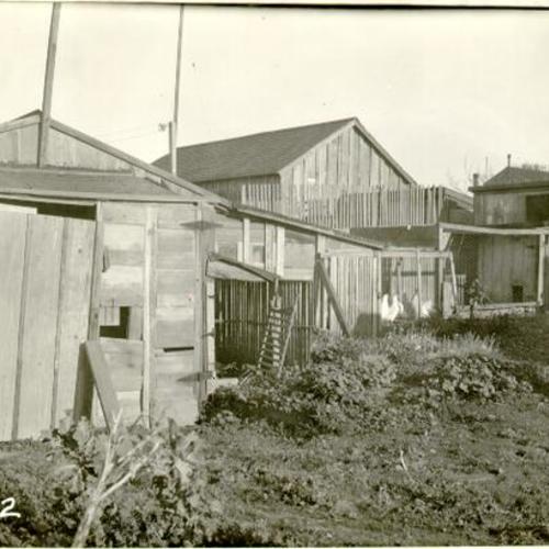#4 Naglee Street - View of nondescript shed and chicken coops