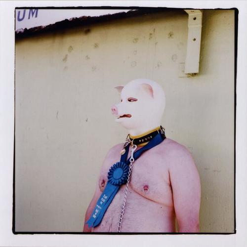 [First place pig costume at Dore Alley Street Fair in 2006]