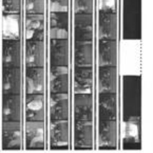 [Contact sheet of a film roll documenting a meeting of Tenants and