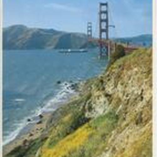 [Golden Gate Bridge with Wildflowers]