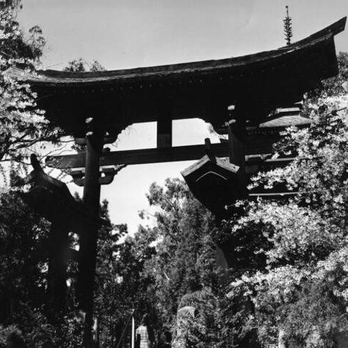 [Torii Gate, Japanese Tea Garden, Golden Gate Park]