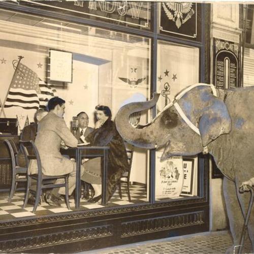[Len Curley, J. J. Polak, Vincent Compagno and Anne Steffaus sitting in the "Victory Window" at I. Magnin while an amused looking elephant watches from outside]