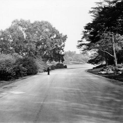 [Middle Drive in Golden Gate Park]
