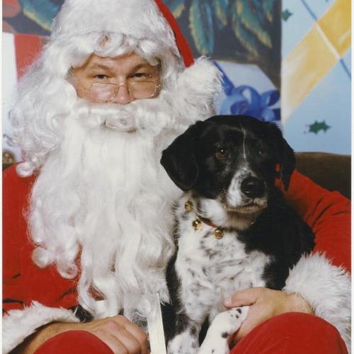 Santa Claus holding dog at Santa Paws fundraiser