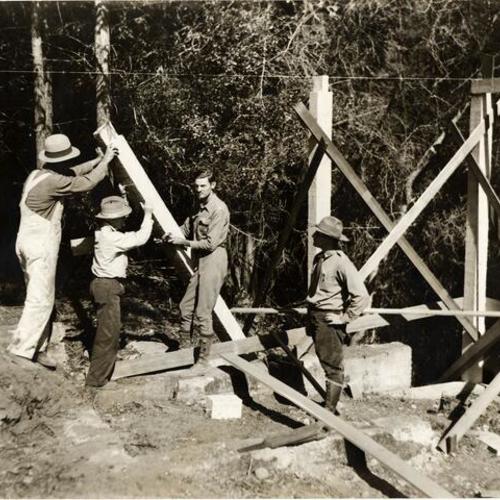 [CCC enrollees stationed at the Forestry Work Camp Muir Wood working in a construction]