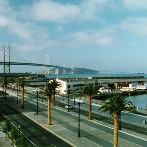 [View of palm trees along the Embarcadero Roadway with a view of the Bay Bridge in the background]