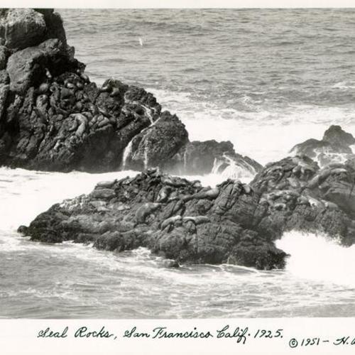 Seal Rocks, San Francisco Calif. 1925